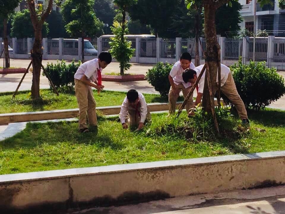 Học sinh trường THCS Nguyễn Du làm cỏ, chăm sóc cây