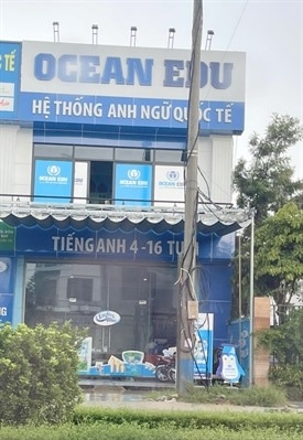 Trung tâm ngoại ngữ Ocean Edu