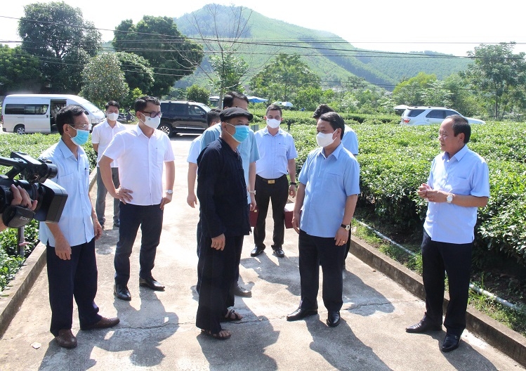 Bộ trưởng, Chủ nhiệm Hầu A Lềnh tham quan mô hình sản xuất chè an toàn của ông Lê Quang Nghìn.