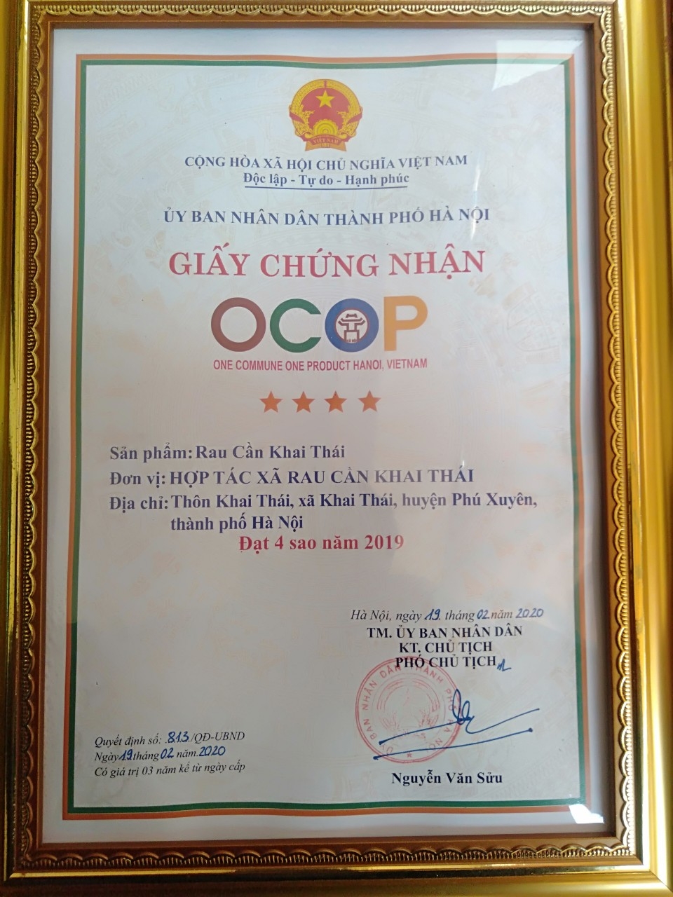 Rau cần Khai Thái đạt chứng nhận OCOP 4 sao