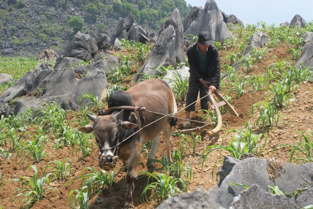 Phê duyệt Chương trình mục tiêu quốc gia phát triển KT-XH vùng đồng bào DTTS và miền núi