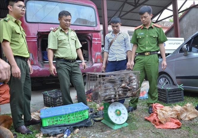 Lực lượng chức năng thu giữ tang vật một vụ buôn bán động vật hoang dã