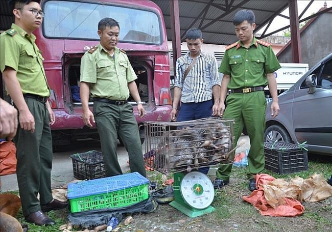 Tăng cường hiệu quả công tác đấu tranh với nạn buôn bán và vận chuyển động vật hoang dã