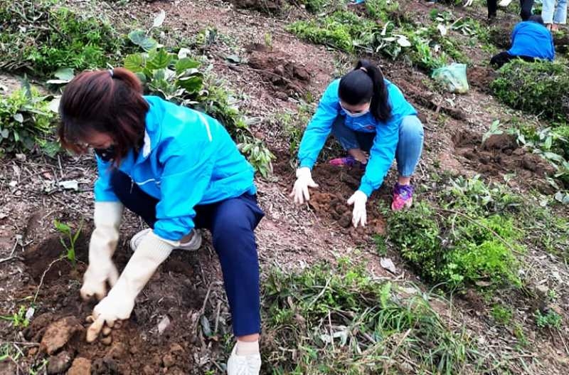 Đoàn viên, thanh niên tỉnh Khánh Hòa trồng cây, dọn sạch biển