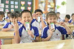 24 quận, huyện của TP HCM sẽ triển khai Sữa học đường