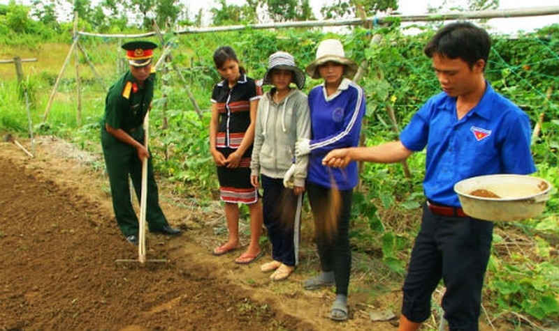 Ảnh minh họa