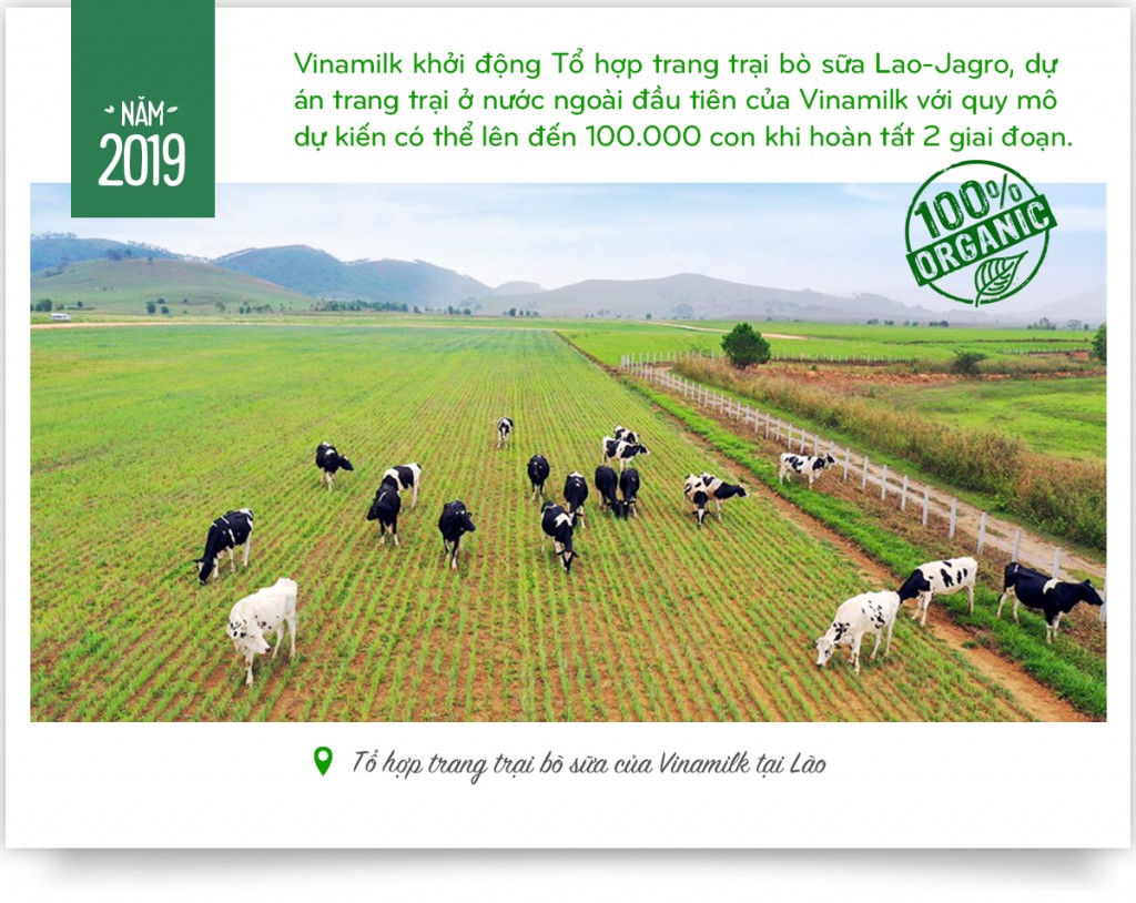 Vinamilk: 15 năm xây hệ thống trang trại bò sữa với “bộ sưu tập” tiêu chuẩn quốc tế