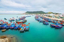 Đổi mới và tăng cường tổ chức thực hiện Chiến lược phát triển bền vững kinh tế biển Việt Nam
