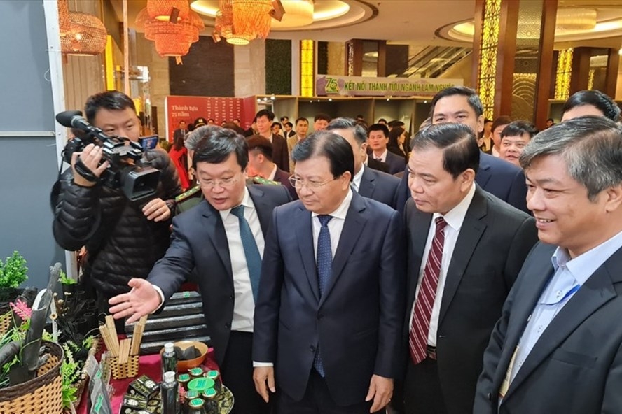 Phó Thủ tướng Trịnh Đình Dũng và đại biểu tham quan triển lãm “Kết nối thành tựu 75 năm ngành Lâm nghiệp Việt Nam”