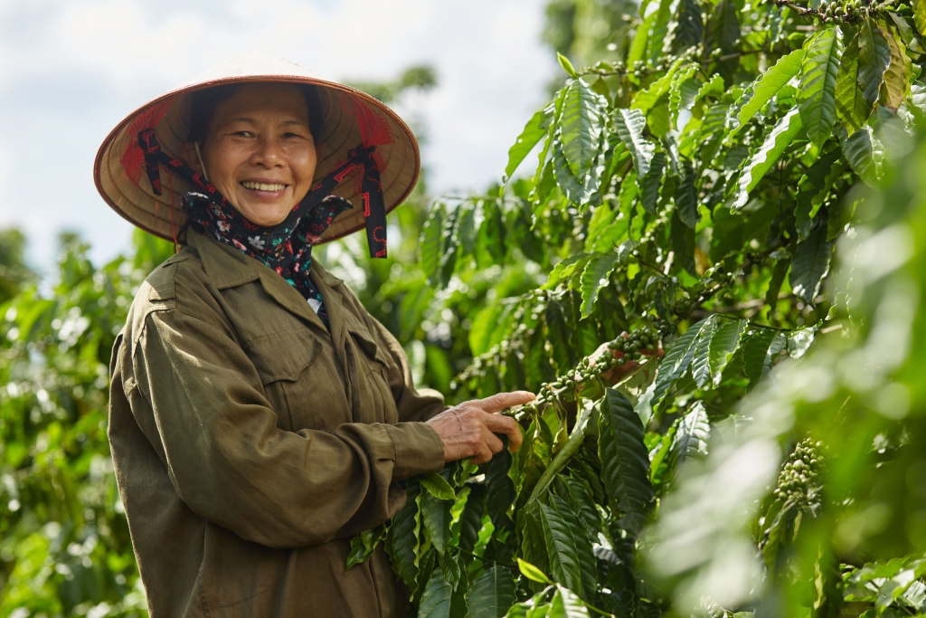 Nestlé đào tạo đội ngũ nữ trưởng nhóm nông dân trồng cà phê của dự án NESCAFÉ Plan, đóng góp cân bằng giới và nâng cao quyền năng phụ nữ
