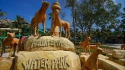 Một tấm vé tới Aquatopia Water Park, triệu niềm vui đang chờ đón