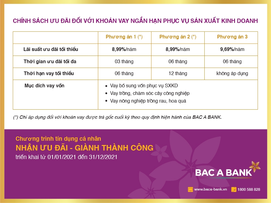 Nhận ưu đãi tín dụng từ BAC A BANK, khách hàng sẵn sàng đón thành công