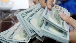 Tỷ giá USD hôm nay 18/1: Chạm mốc cao nhất trong gần 1 tháng