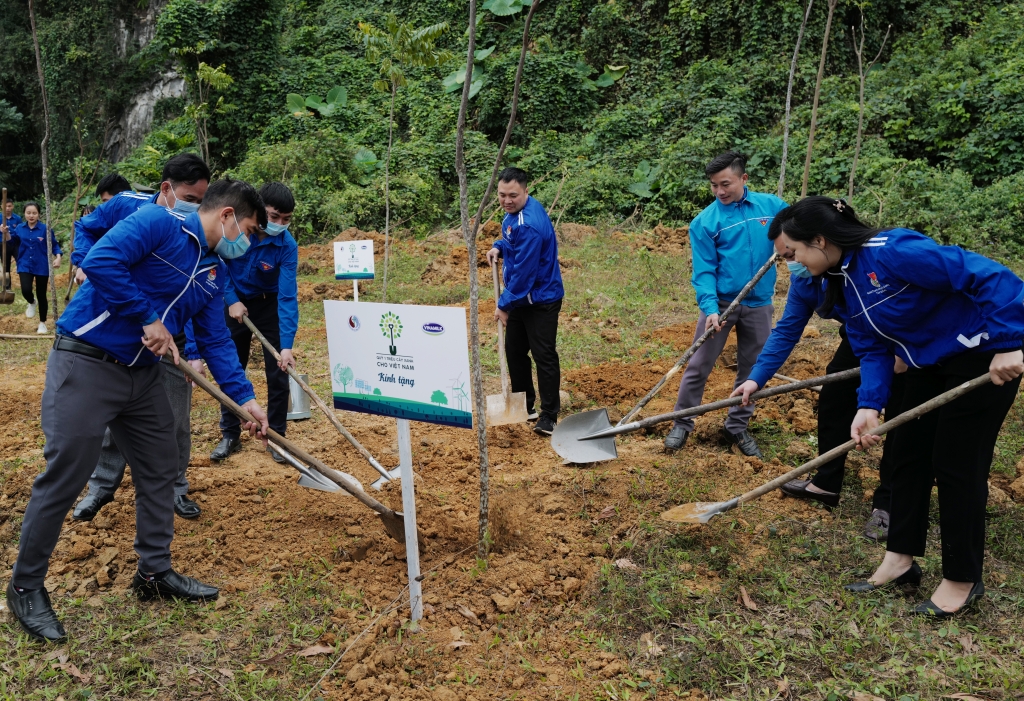 Hoạt động trồng cây của Vinamilk đều được lực lượng đoàn viên thành niên hướng ứng tham gia nhiệt tình  