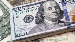 Tỷ giá USD hôm nay 23/2: Chờ đợi và kì vọng