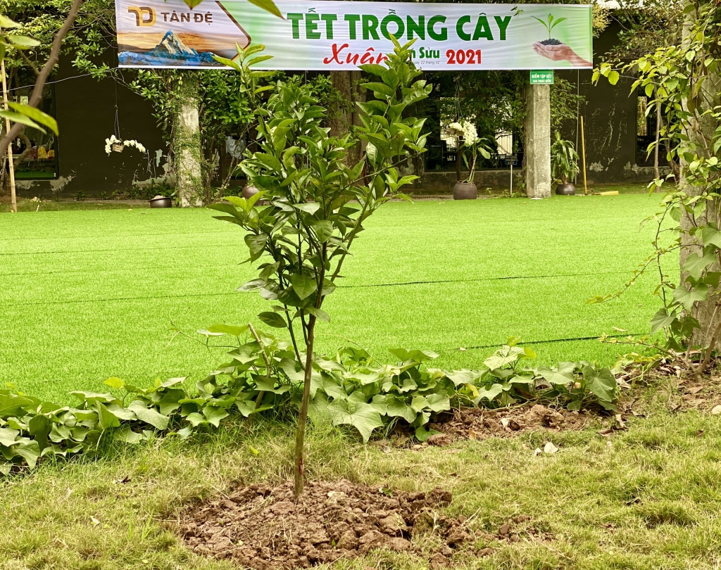 Nếu từng đến những nhà máy của Tân Đệ hẳn nhiều người sẽ ấn tượng bởi hệ thống cây xanh bao quanh nhà máy. Những con đường rợp bóng cây xanh ấy đã trở thành hình ảnh rất đỗi thân thương, theo bước chân người lao động vào nhà máy mỗi sớm mai, cùng thư giãn trong giờ nghỉ trưa và gửi lời chào mỗi người sau một ngày làm việc đầy hào hứng… Nếu từng đến những nhà máy của Tân Đệ hẳn nhiều người sẽ ấn tượng bởi hệ thống cây xanh bao quanh nhà máy. Những con đường rợp bóng cây xanh ấy đã trở thành hình ảnh rất đỗi thân thương, theo bước chân người lao động vào nhà máy mỗi sớm mai, cùng thư giãn trong giờ nghỉ trưa và gửi lời chào mỗi người sau một ngày làm việc đầy hào hứng…