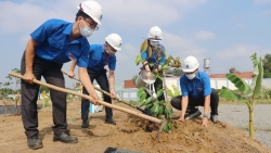 KĐN tiếp tục chương trình trồng cây năm 2021 tại Bà Rịa - Vũng Tàu