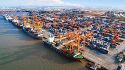 Chính phủ phê duyệt chủ trương xây dựng 2 bến container tại Khu bến cảng Lạch Huyện
