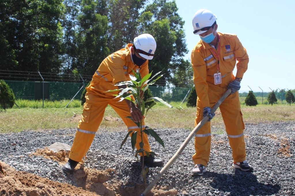 KĐN vượt chỉ tiêu kế hoạch trồng cây trên công trình khí năm 2021