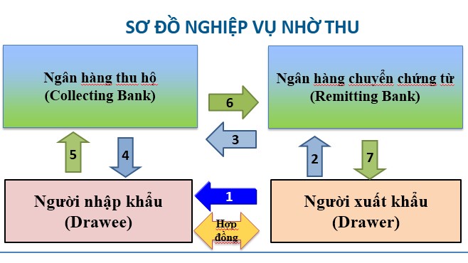 Phương thức thanh toán nhờ thu kèm chứng từ trong tài trợ thương mại