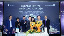 Cen Land: Doanh thu lập kỷ lục mới, tăng trưởng 164%