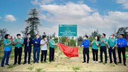 BIDV khánh thành nhà cộng đồng tránh lũ và trồng cây phòng hộ ven biển Hà Tĩnh