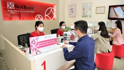 SeABank đặt mục tiêu 4.866,6 tỷ đồng lợi nhuận và tăng vốn điều lệ lên 22.690 tỷ đồng