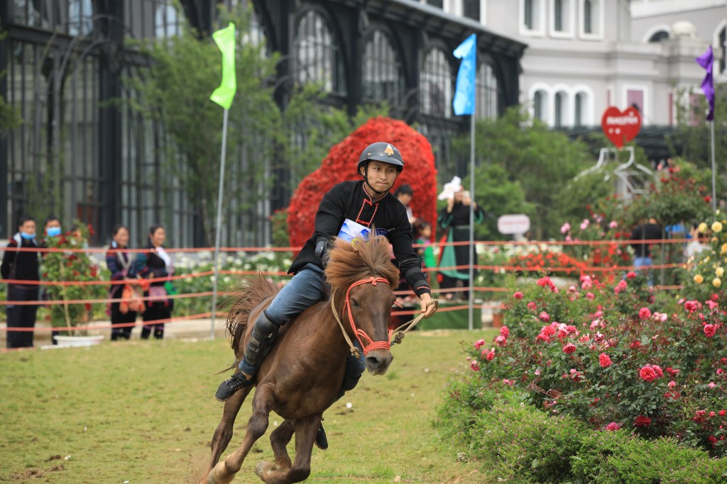 Sa Pa tiếp nối chuỗi sự kiện hè 2022 bằng mùa giải Vó ngựa trên mây độc đáo