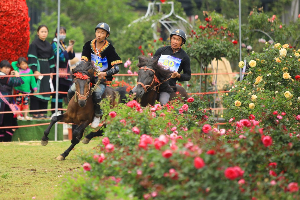 Sa Pa tiếp nối chuỗi sự kiện hè 2022 bằng mùa giải Vó ngựa trên mây độc đáo