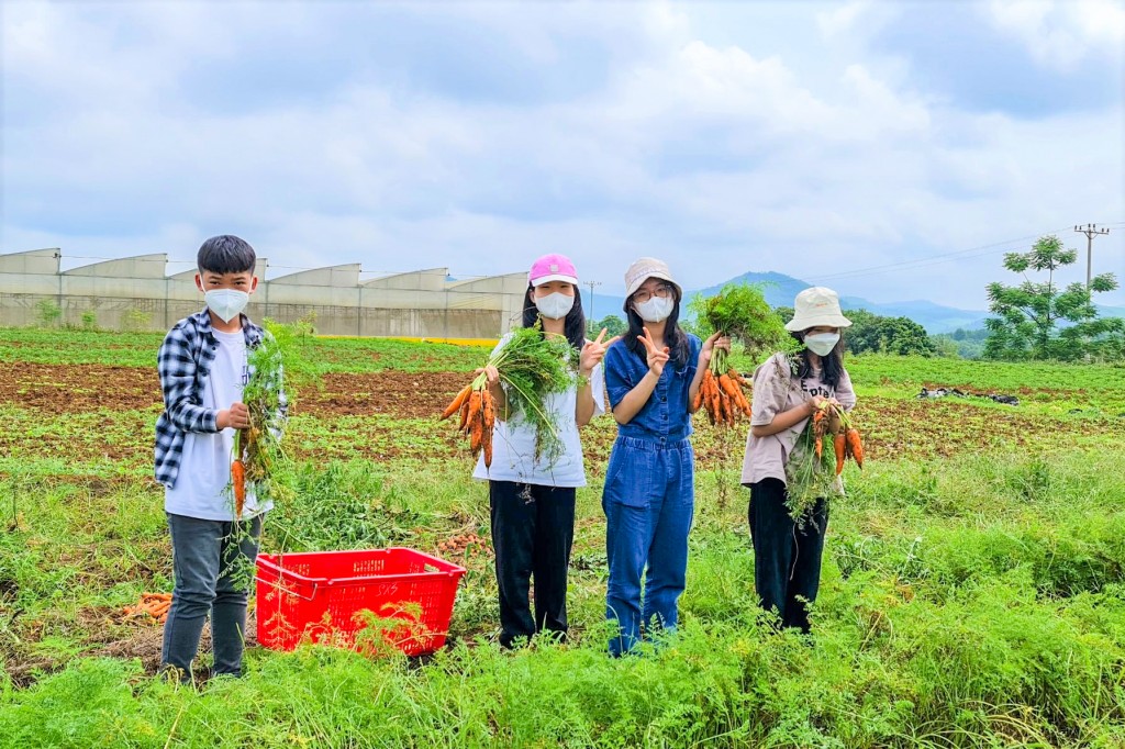 Các em học sinh tỏ ra rất hứng thú với hoạt động thu hoạch nông sản. Ảnh: NVA