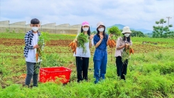 Trường TH School TP Vinh tổ chức trải nghiệm tại nông trại xanh