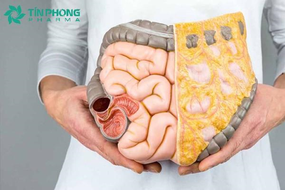 Táo bón có thể khởi động hệ tiêu hóa chậm ở ông bà Táo bón có thể khởi động hệ tiêu hóa chậm ở ông bà