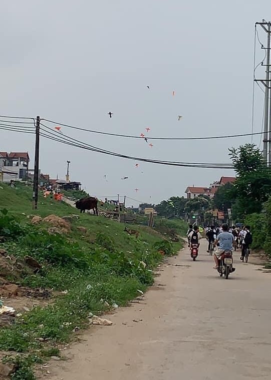 Những con diều được thả gần hành lang lưới điện khu vực dọc triền đê  Văn Khê – Mê Linh – Hà Nội
