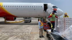 Vietjet, Swift247 đưa vải thiều Bắc Giang "bay" tới nhiều thị trường trong và ngoài nước