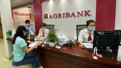 Agribank tăng gấp đôi gói tín dụng, trợ giúp khách hàng 