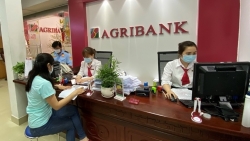 Agribank tăng gấp đôi gói tín dụng, trợ giúp khách hàng "vượt" Covid-19