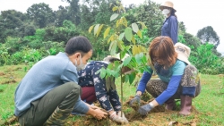 Manulife Việt Nam cùng khách hàng trồng rừng, hướng tới một tương lai bền vững