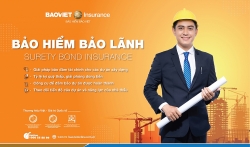 Bảo hiểm bảo lãnh - Giải pháp bảo vệ cho các nhà thầu và chủ đầu tư