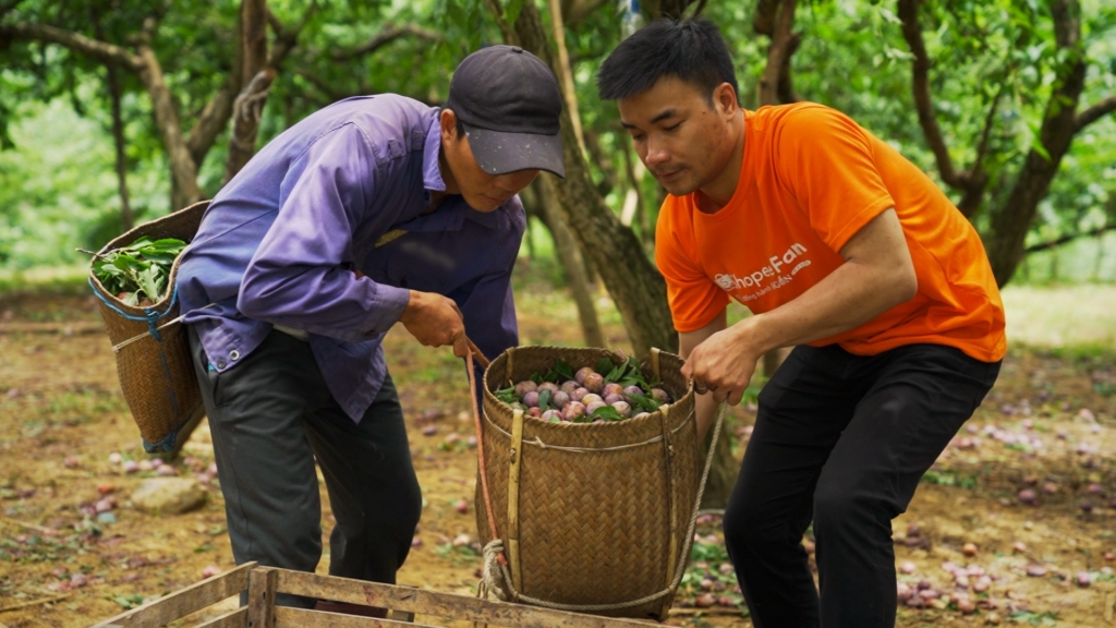 Nông sản lên sàn, không còn là câu chuyện “giải cứu”