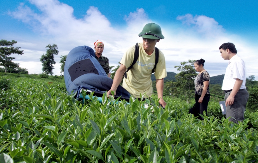 Agribank thể hiện quyết tâm trong điều kiện khó khăn vẫn luôn hỗ trợ và đồng hành cùng doanh nghiệp, người dân góp phần phục hồi SXKD