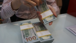 Tỷ giá USD hôm nay 23/7: Trượt từ mức đỉnh