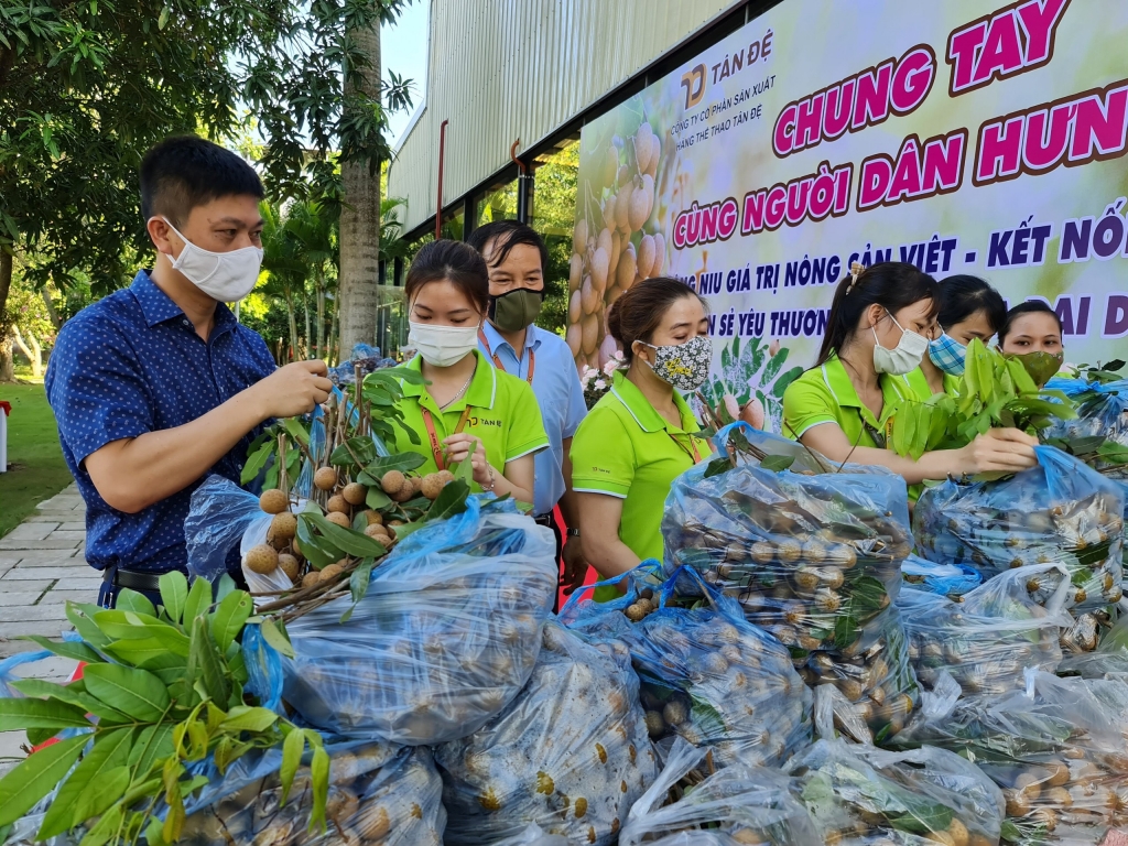 Tân Đệ hỗ trợ người trồng nhãn Hưng Yên nâng cao giá trị nông sản Việt