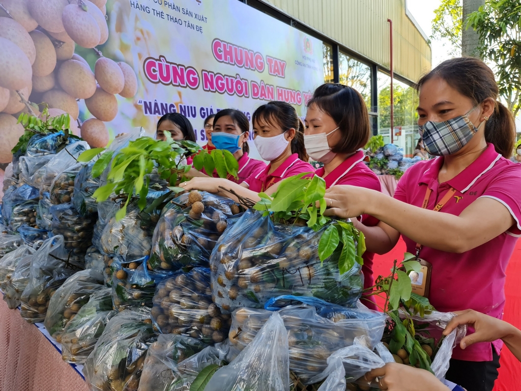 Tân Đệ hỗ trợ người trồng nhãn Hưng Yên nâng cao giá trị nông sản Việt