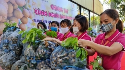 Tân Đệ hỗ trợ người trồng nhãn Hưng Yên nâng cao giá trị nông sản Việt