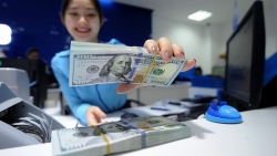 Tỷ giá USD ngày 8/9: Tiếp đà tăng nhẹ
