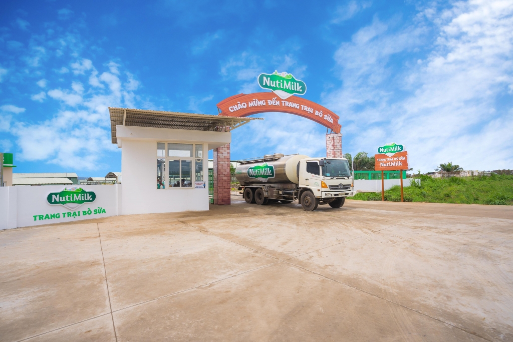 Trang trại bò sữa của NutiMilk