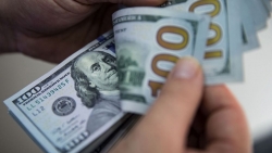 Tỷ giá USD hôm nay 24/9: Đồng USD bứt phá