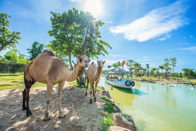 Top 3 điểm đến du lịch ven biển được yêu thích nhất Việt Nam