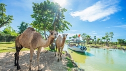 Top 3 điểm đến du lịch ven biển được yêu thích nhất Việt Nam