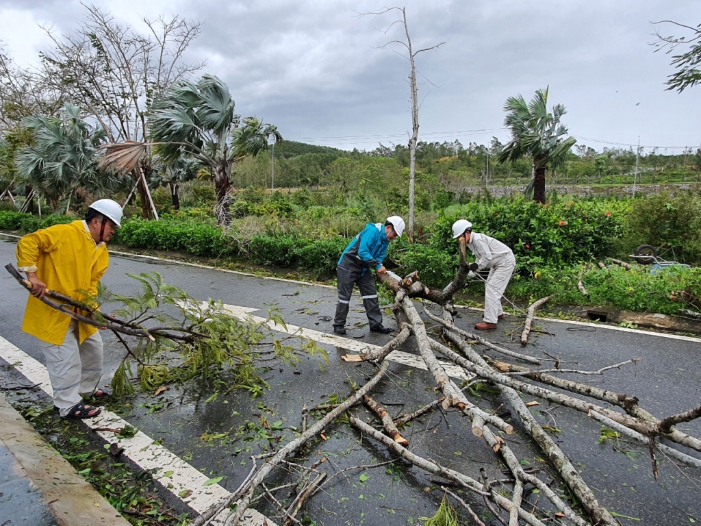 CBCNV Công ty tiến hành thu gom, dọn dẹp sau bão số 9.